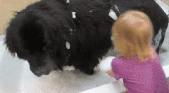 dc1b2aa6319343d68e84626f13cdb138.gif