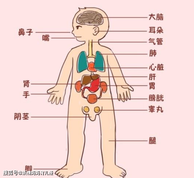 2c7a30f5537545e785b803c36eeb3ef1.png